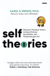 Image of Self Theories
